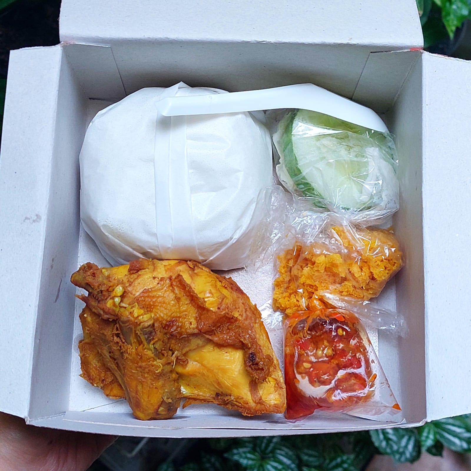 Nasi Box Ayam Kremes Blitar paket 1